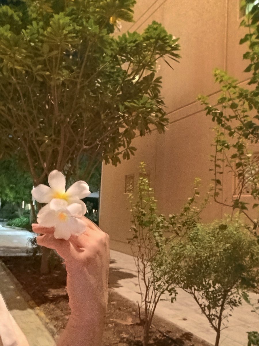 iylilli's tweet photo. وأخيرا عودة موسم المشي في الهواء الطلق https://t.co/IPuufl3SNJ