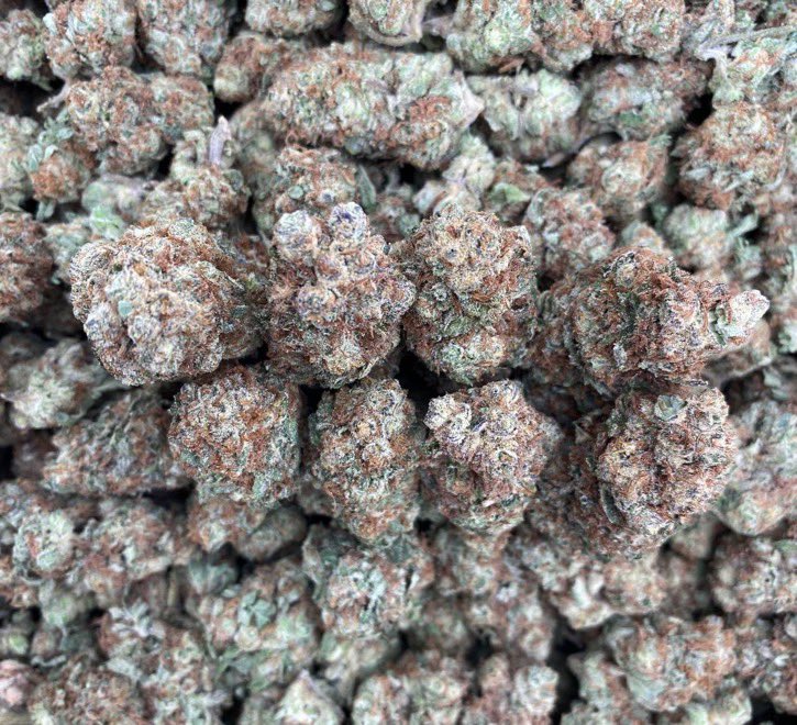 TommyPlug001's tweet photo. GARLIC POPPERZ 🍭
$375 INTOWN
✉️Text (737) 406-8581
#houstonplug #weed #houstonmeets #houston #deliver #houstonbestplug #zaza #springplug #cypressplug #katyplug #northsideplug #htxlinkup #htxsnow #drgtwt #htxdrugs https://t.co/FYpKuHyM4z