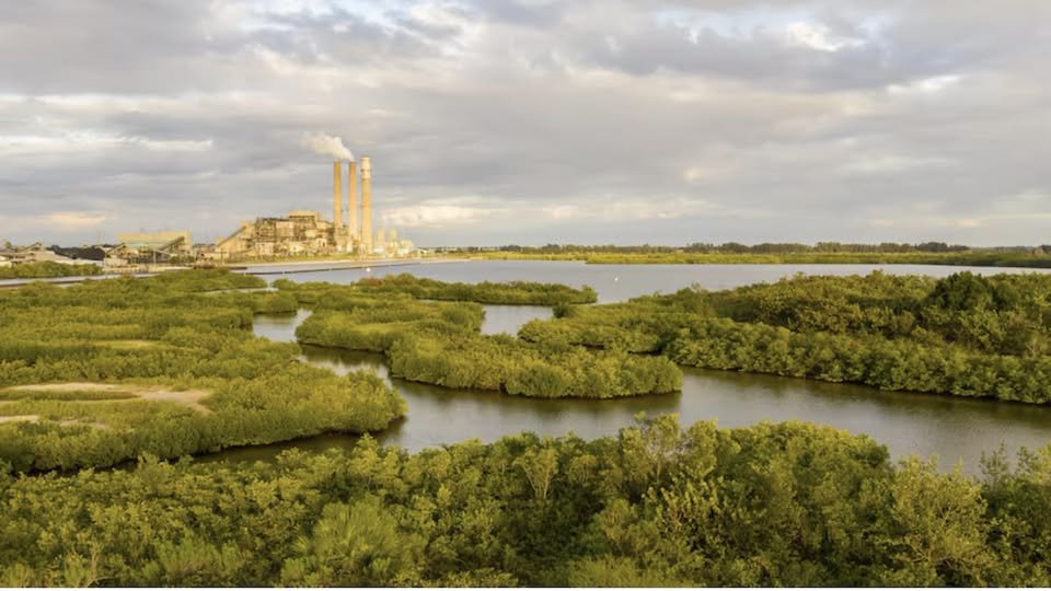 mnagu50's tweet photo. TECO unveils data center plan, says it’ll shield residents from costs https://t.co/XxAwNXeIMV