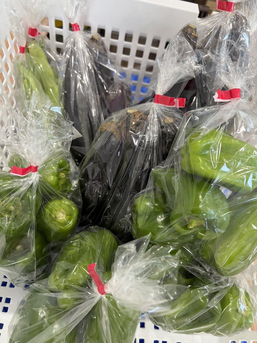 saneisuisan's tweet photo. 野菜少しですが、入荷してます♪
なす🍆ささぎ　ピーマン🫑
1袋135円（税込）
採れたて新鮮です✨

本日もよろしくお願いいたします😊
【三栄水産直売所OPEN11:00~16:00】 https://t.co/Mn54R1Tzuk