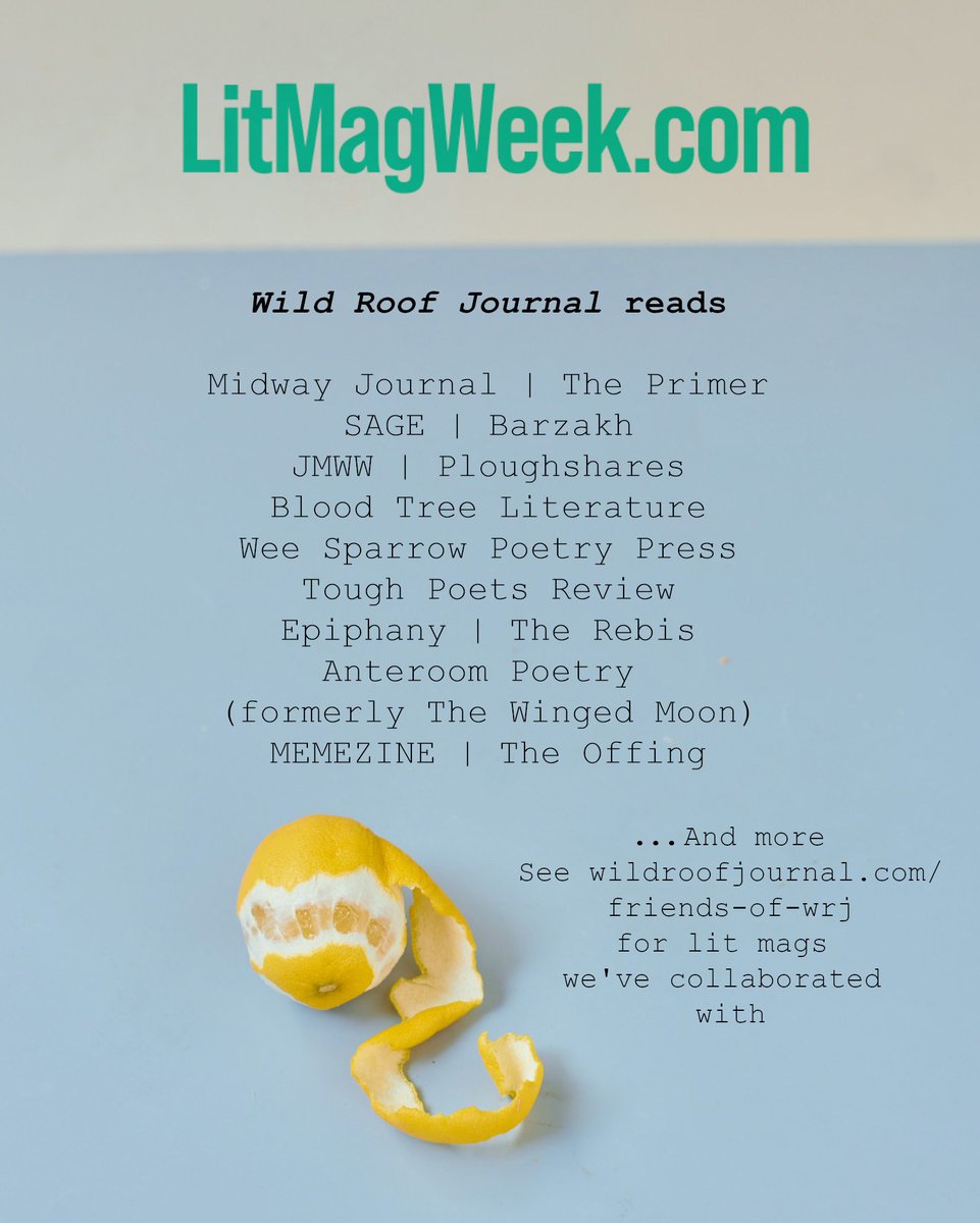 wildroofjournal's tweet photo. More at https://t.co/D0Oqx2bA0d https://t.co/f6Z6Z0ehkw