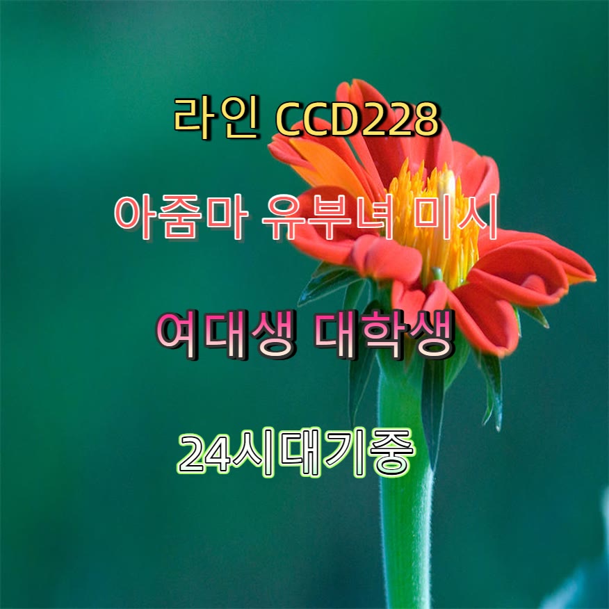 gossip2gether's tweet photo. 🧐🆒🚅 #안양 #안양조건 #건오 #안양ㅈㄱ #ㅁㄴ #조건 #맘눌뎀 #간단 https://t.co/wSdP0aUMmx