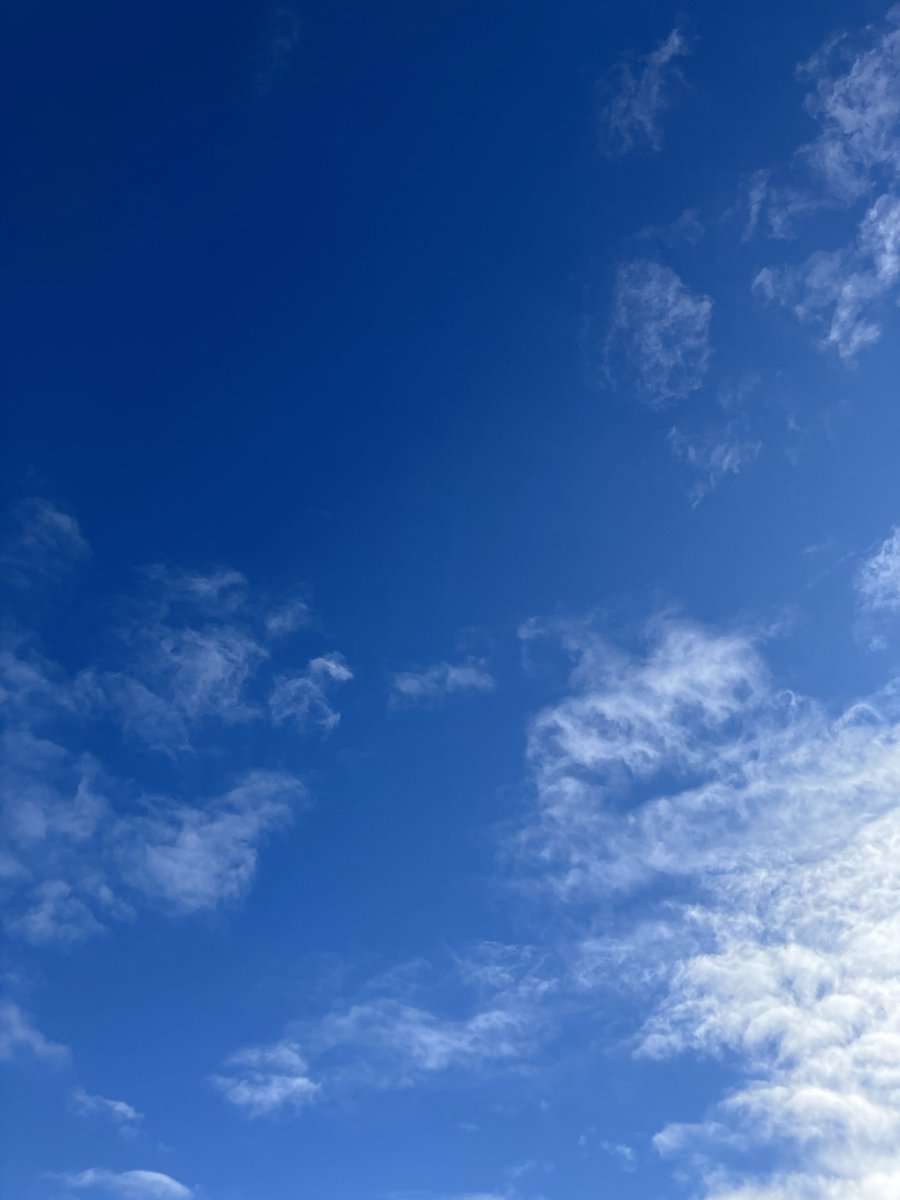 Rengevois's tweet photo. #青空　#横浜のそら
日傘が必須な日差しです！☀️ https://t.co/dm4CScAWGT