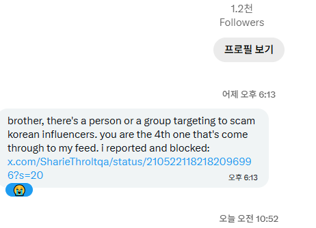 A direct message warning about a 4th scam account targeting Korean influencers, including a link to a post by @SharieThroltqa (status/210522118218209699) and a laughing emoji. The sender claims to have reported and blocked the account, supporting the caption's point about impersonator accounts sending misleading DMs about scams.