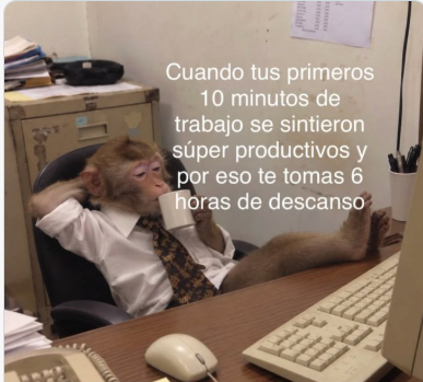 eduamati80's tweet photo. he chambeado mucho https://t.co/bECIv2Wsh9