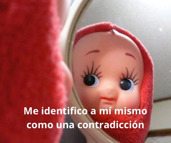 conoloracigarro's tweet photo. https://t.co/bPjsqelHoA