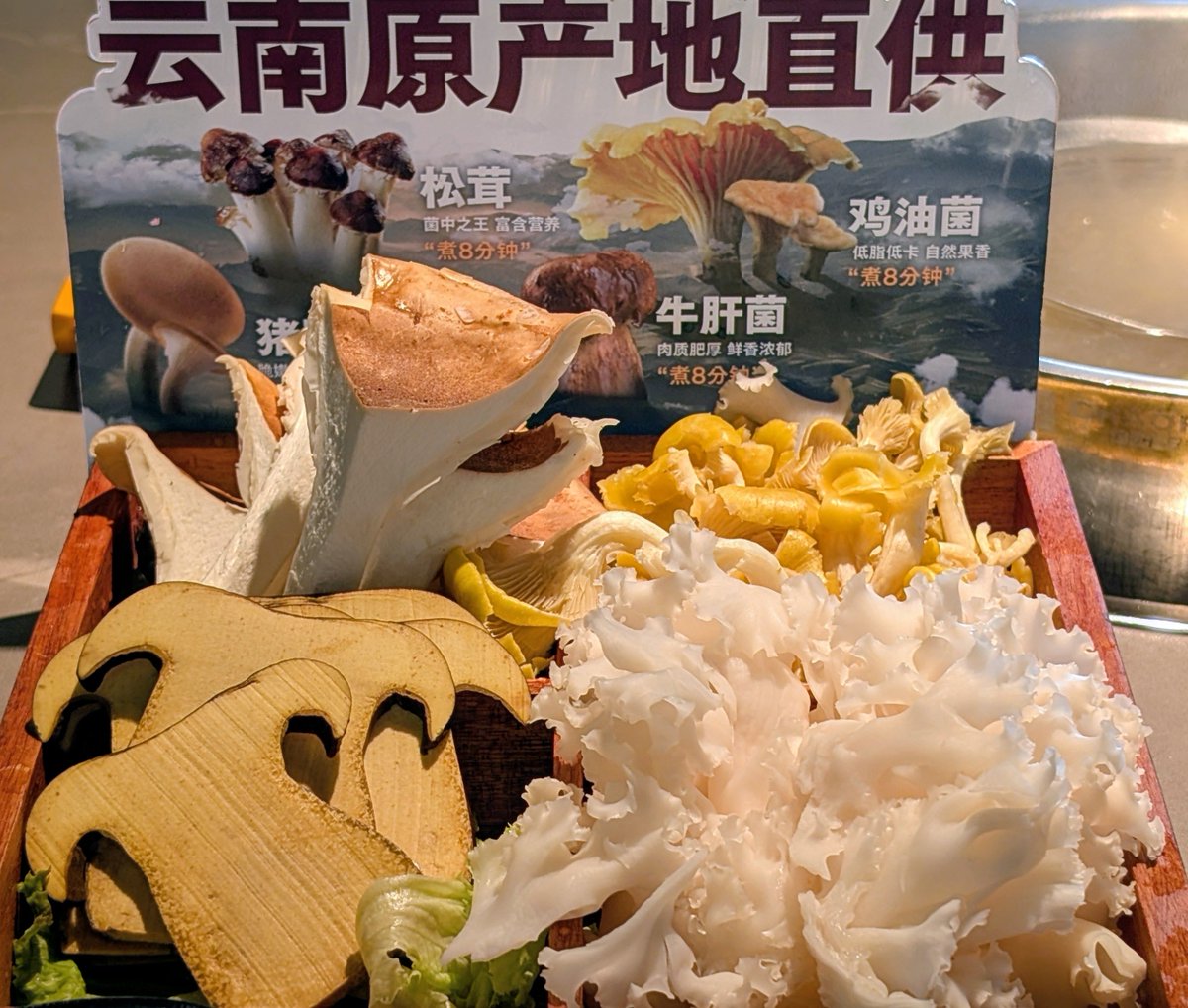 Lily0727K's tweet photo. 深圳の潮汕火鍋が美味しすぎて、また食べました！

たくさんのフォロワーさんが一番美味しいと勧めてくれた、潮發という有名店です！

届いたばかりの新鮮な和牛、そして雲南省から直送された山盛りのキノコ！

もうあまりの美味しさにご飯が止まらないです！これこそまさに牛肉の鍋の究極完成形です！ https://t.co/Vi4AM1ZOo0