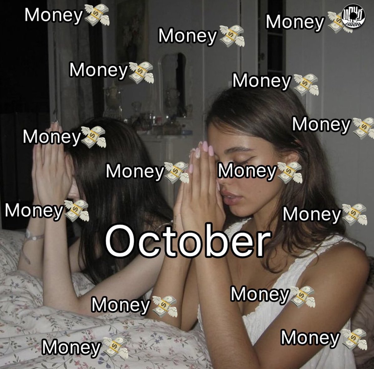 aaurorax_'s tweet photo. October wish, https://t.co/aJFzZdRRwB