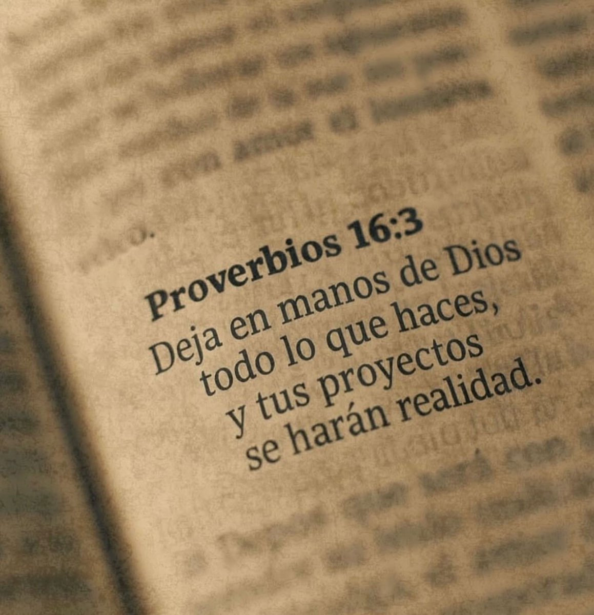 El_Salmista_'s tweet photo. https://t.co/VcV7MsCNzM