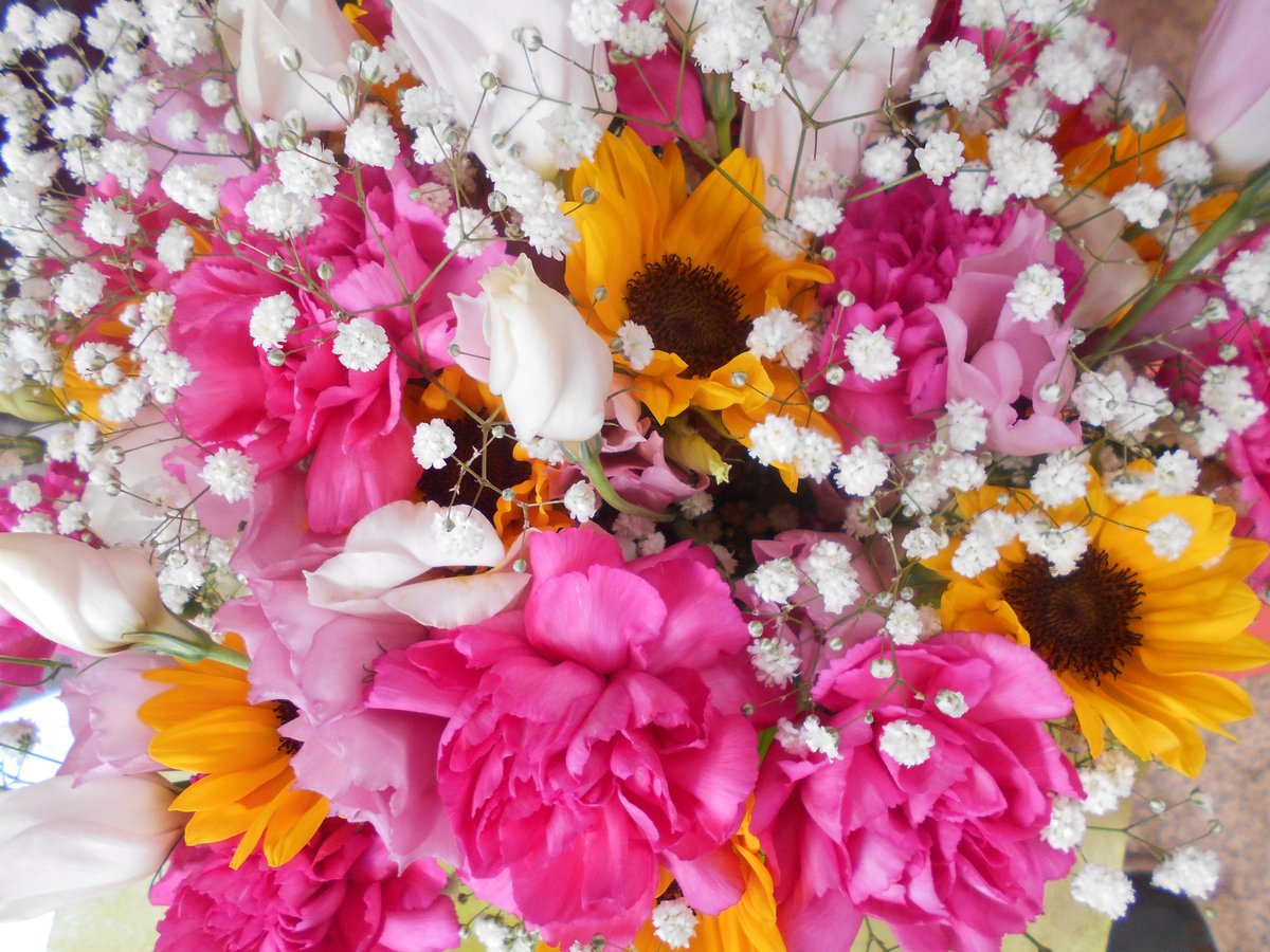 flowermarche01's tweet photo. 10/1営業中　赤字覚悟の100均ショップ　お好みの花束作ります　何でもお気軽に相談ください　kzy200160@yahoo.co.jp　Tel0443853736　#花束 #プレゼント #バースデー #お祝い #地方発送 https://t.co/0ccmGN0Ac1