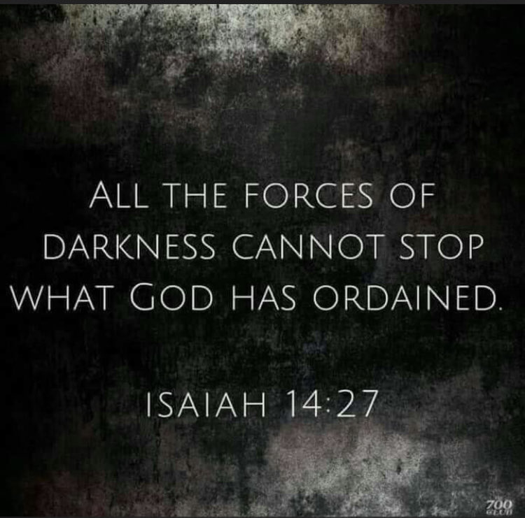 Patriot4God17's tweet photo. @realDonaldTrump God Wins! America Wins!
The world Wins!
Satan is defeated!
Praise God for His goodness! https://t.co/tWYc9zuOXS