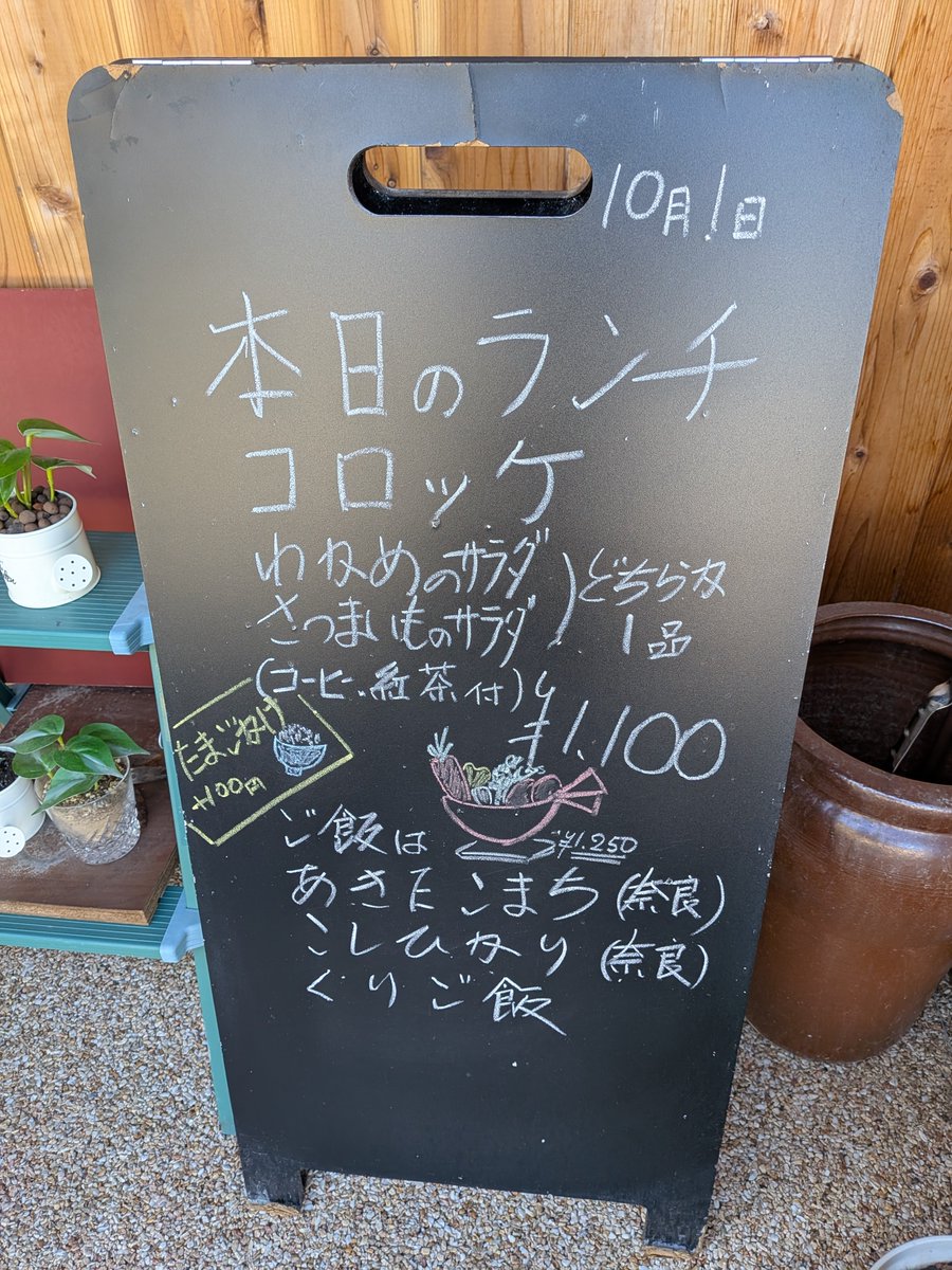 gohancafemi's tweet photo. オープン！ https://t.co/dok3r5dAvF