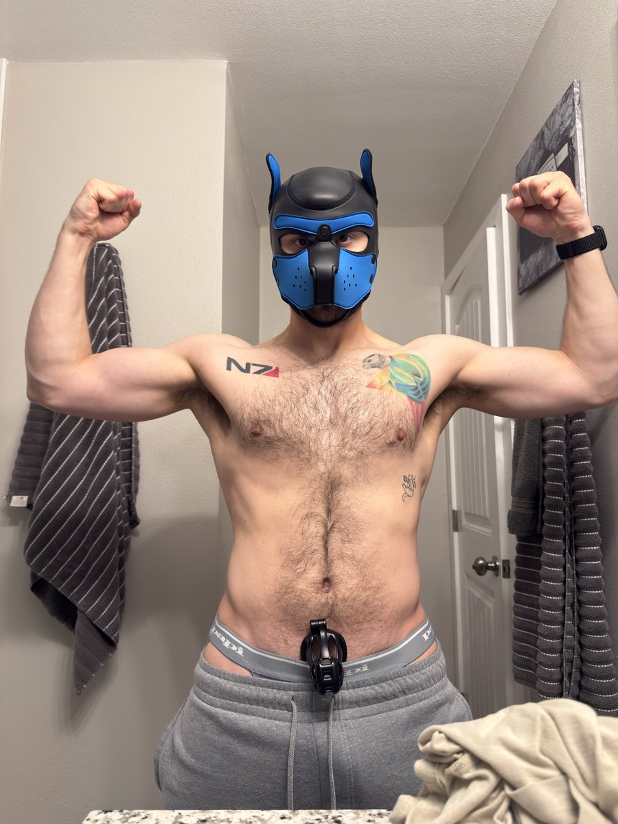 IsntItARuffLife's tweet photo. Should I do it? https://t.co/GX0U65pc0N