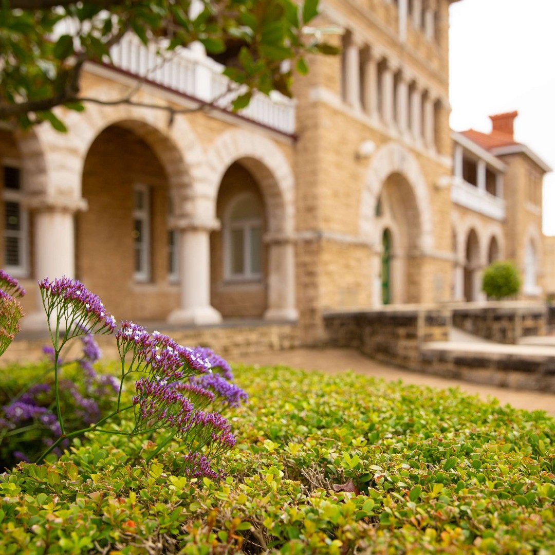 perthmint's tweet photo. 🌤️ Boorloo is starting to warm up with the arrival of Kambarang season.

The perfect time to explore The Perth Mint's heritage gardens and take a Gold Tour to discover how WA's gold rush impacted our First Nations People | https://t.co/H4E1jssylp

#ThePerthMint #NyoongarSeasons https://t.co/SUmYw9xjyp