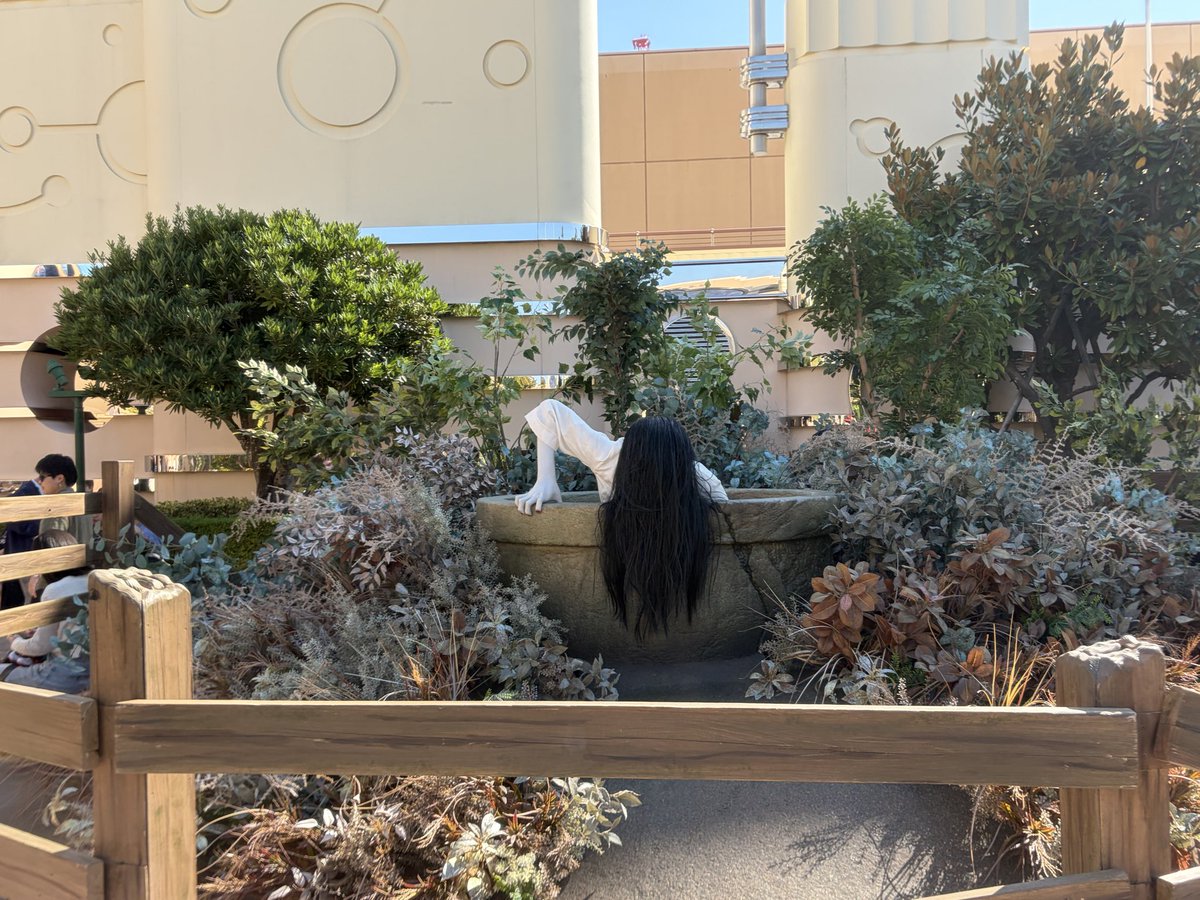 bamboo_boon's tweet photo. 来る〜 きっと来る〜♪
#貞子 #USJ https://t.co/clDDVEln6N