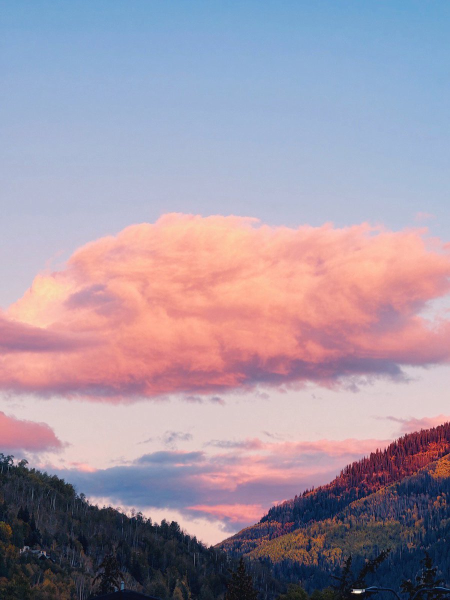 Thru_J_Eyes's tweet photo. Taylor Swift — Pink Clouding

▶︎•၊၊||၊|။|||| | 𝄞 ๋࣭  ࣪ ˖🩷☁️

#TaylorSwift #PinkClouding #Photography #BeginnersPhotography https://t.co/4ObJ4KP86t
