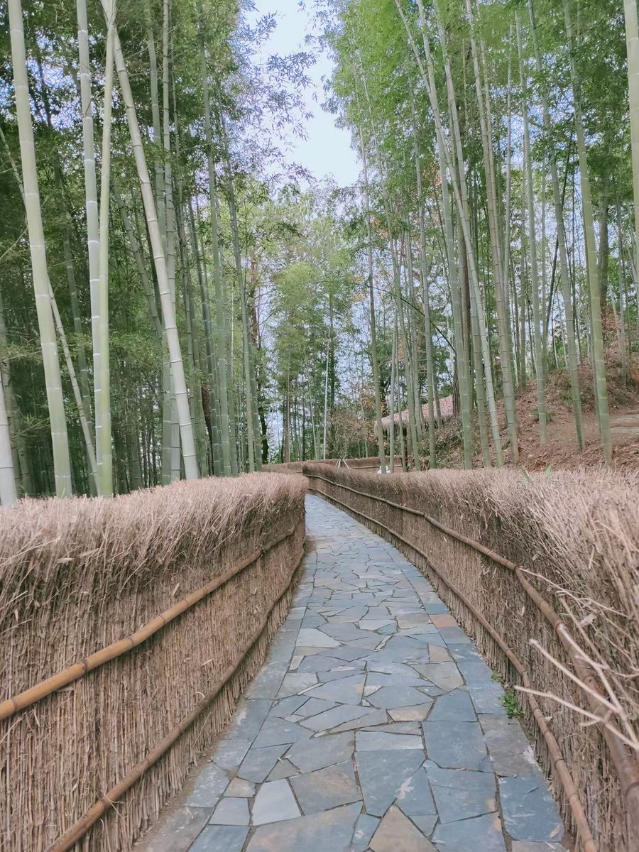j_kightl_41_f5f's tweet photo. I feel guilty about avoiding the busy market, it’s a place that holds the quiet and tranquil memories of our past by the steep hill. https://t.co/kTzOg7HPoL