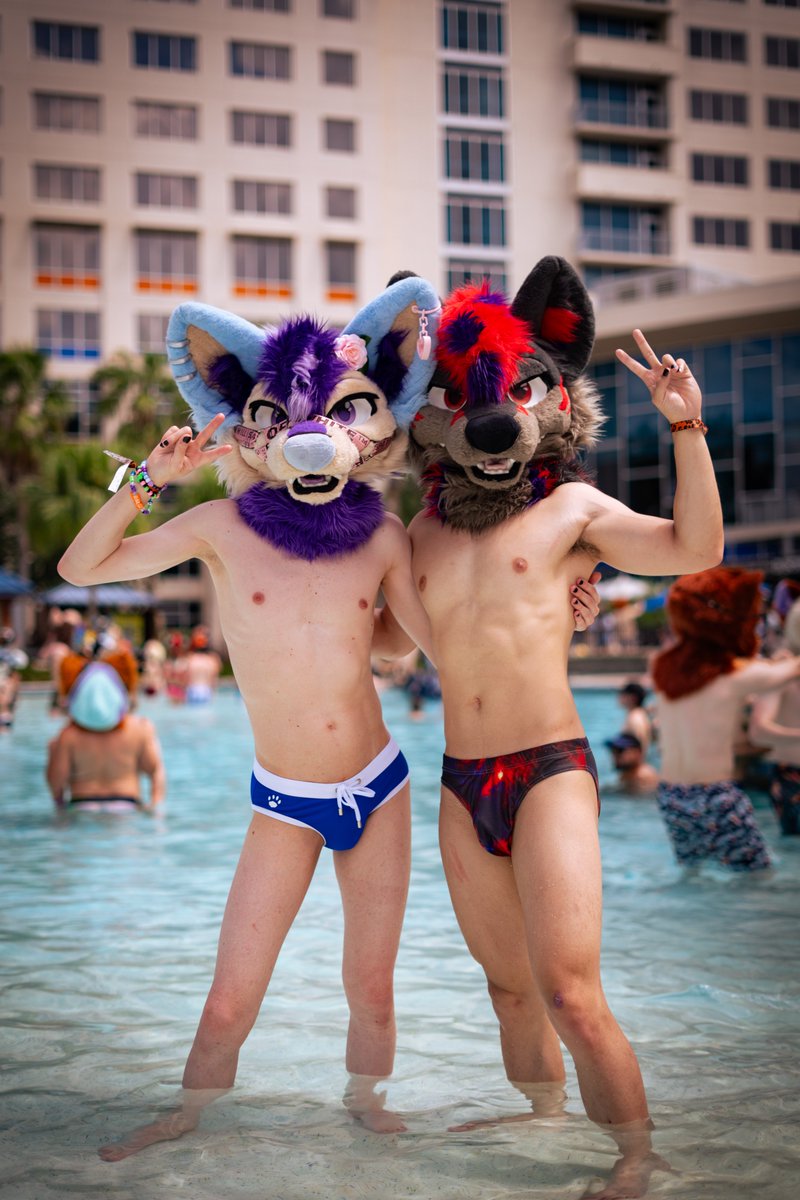 twinkpuppy's tweet photo. the dogs got wet!!!!

🐕: @Luzefur 
📸: @Pawkichip https://t.co/sldQL64hwj