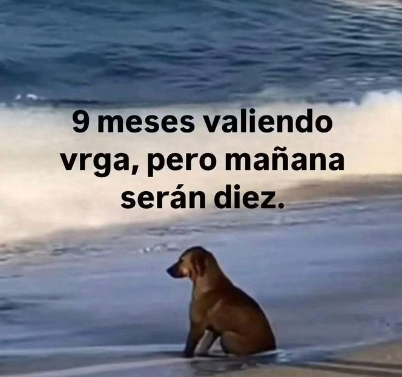 CamilaRojafwgi's tweet photo. y si jajaja https://t.co/rytyYhb14B