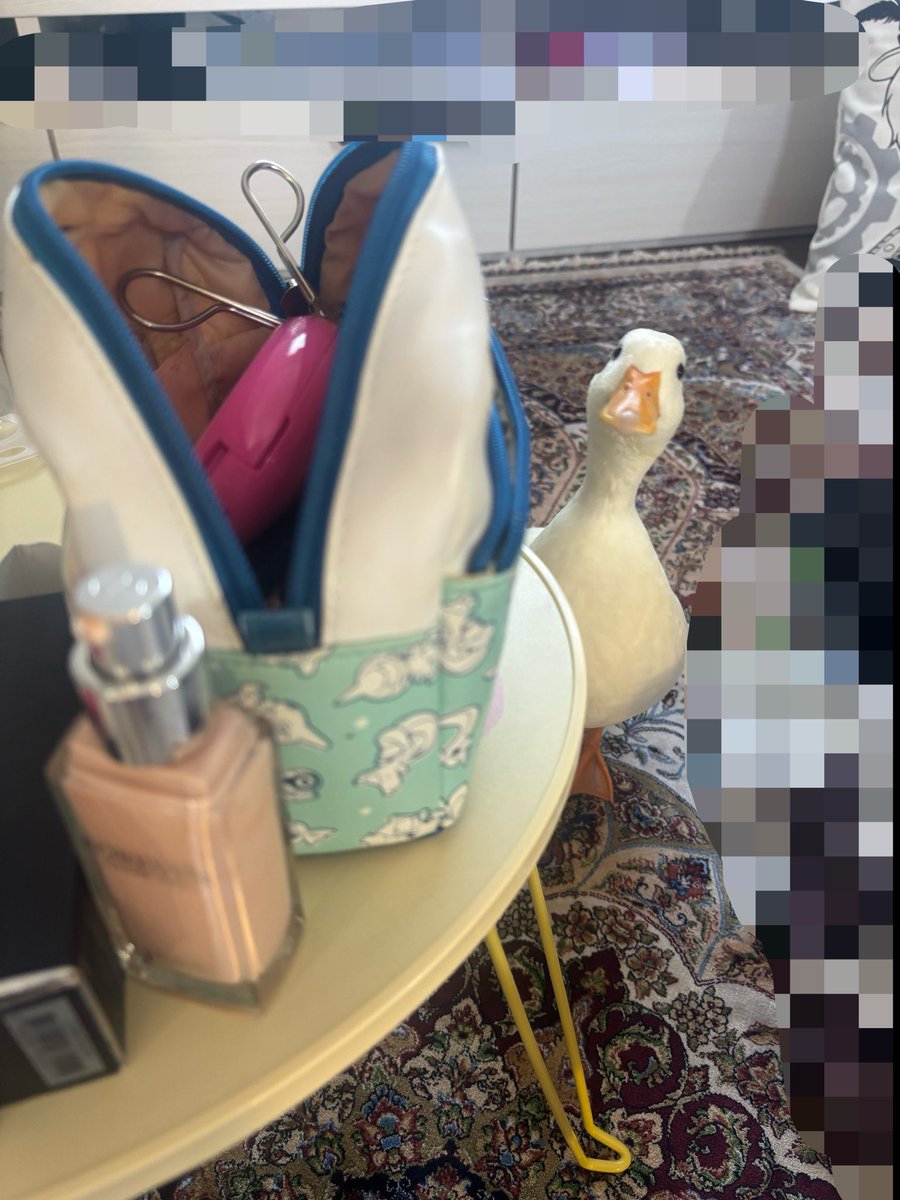 jano_48's tweet photo. ジューンもお化粧したいの？
可愛いからしなくていいよ https://t.co/86I0UsknNJ