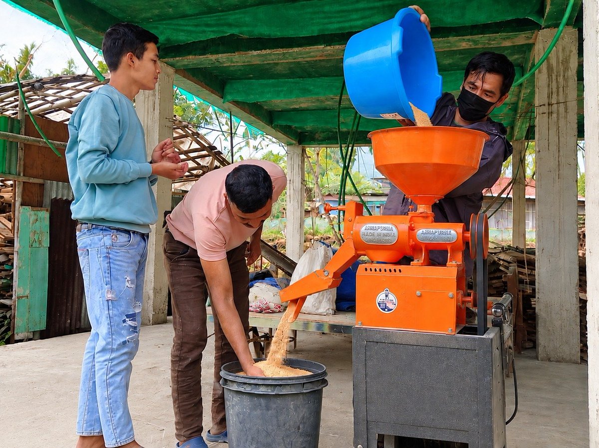AgriGoI's tweet photo. From Paddy to Market-Ready Rice!🌾🏭 

Bagmara Krishi Kalyan Farmers Producer Co Ltd #FPO from #Darjeeling #WestBengal, a #PMDhanDhaanyaKrishiYojana district FPO with 1069 farmer members, sets up rice processing unit, capacity 1.5 Qtls/hour & mini pulveriser, capacity 1 Qtls/hour.

Local processing of Ranjit rice- stronger market opportunities for farmers.
@NITIAayog

📞 Contact: Sh Swapan Pradhan  9339097693

🛒 Click to buy products directly from  FPO
https://t.co/aaNKOHBtD5

#DDKY #Rice #ValueAddition #FoodProcessing