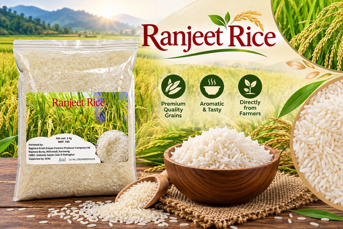 AgriGoI's tweet photo. From Paddy to Market-Ready Rice!🌾🏭 

Bagmara Krishi Kalyan Farmers Producer Co Ltd #FPO from #Darjeeling #WestBengal, a #PMDhanDhaanyaKrishiYojana district FPO with 1069 farmer members, sets up rice processing unit, capacity 1.5 Qtls/hour & mini pulveriser, capacity 1 Qtls/hour.

Local processing of Ranjit rice- stronger market opportunities for farmers.
@NITIAayog

📞 Contact: Sh Swapan Pradhan  9339097693

🛒 Click to buy products directly from  FPO
https://t.co/aaNKOHBtD5

#DDKY #Rice #ValueAddition #FoodProcessing