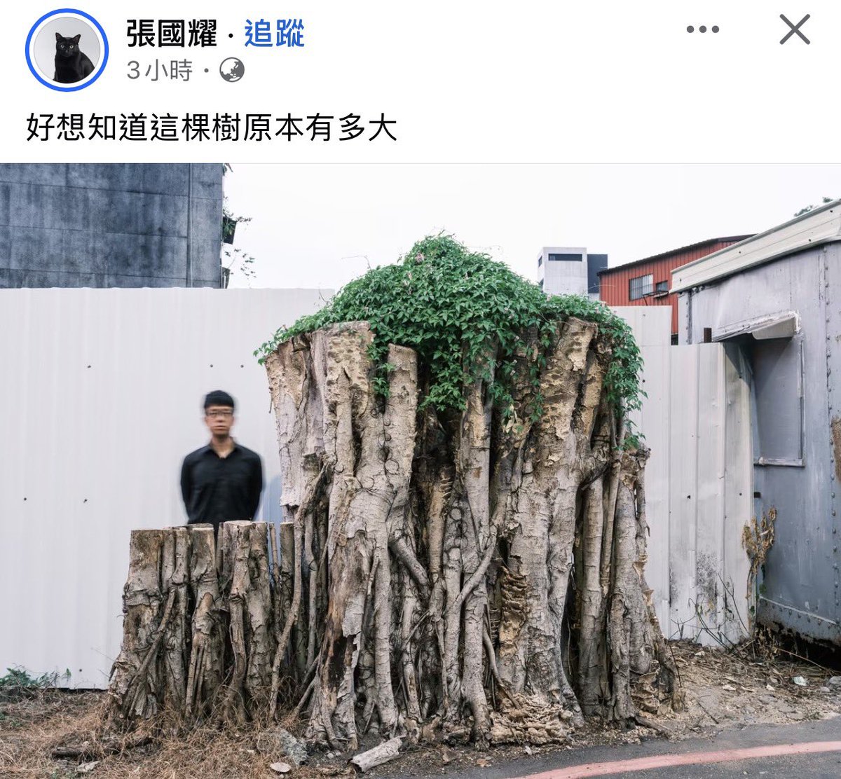 Mise_ad2301's tweet photo. 國殤 https://t.co/iKTsERpMI8