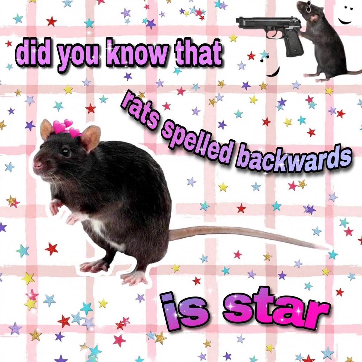 LegalizeRats's tweet photo. and rats live on no evil star.. #dna https://t.co/viF4ScjNsp