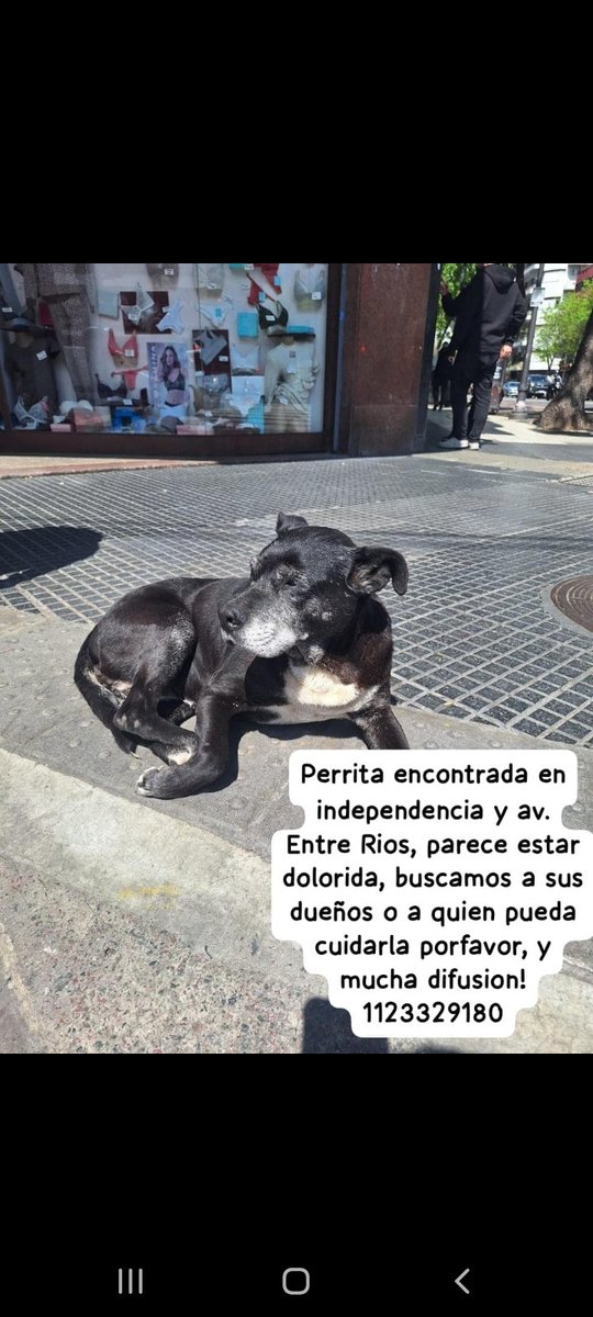 patripeyrou's tweet photo. Rt
Difundimos https://t.co/HavCgcqHvW