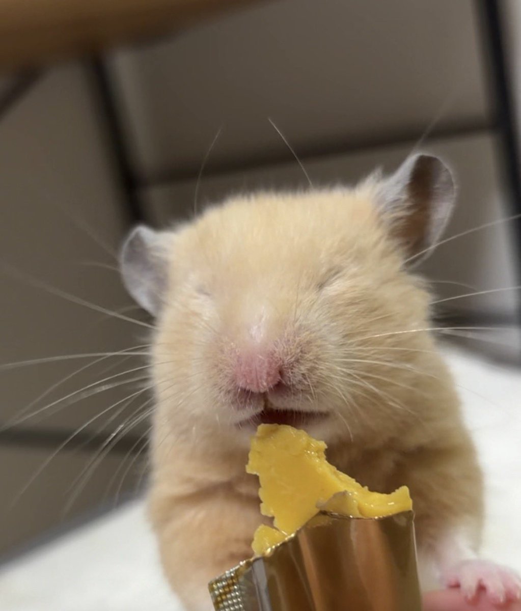 Chia_Taki's tweet photo. うまうまナゲット君 https://t.co/3vTAnK4NMF