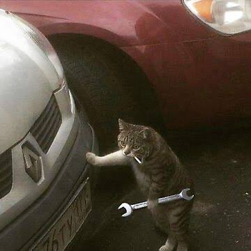 chop_sol's tweet photo. Wrenching in trenches… https://t.co/1Edmi5MZtf