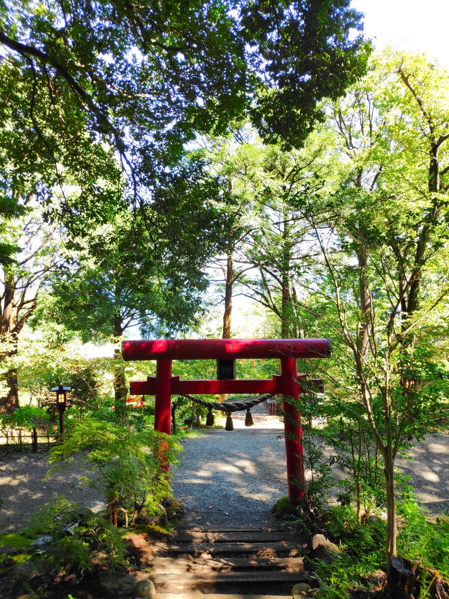 Achu0777's tweet photo. 海の見える高台の神社
天気良くてよかったー🙌❤️
くろのわたうんとたんじろさん✨️ https://t.co/CcZ3YJ86gg