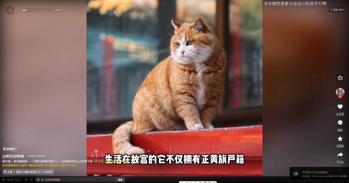 PIKAQIU_8888's tweet photo. 北京故宫的猫，因为胆子小，被取名"帕帕"被封为御前带膘侍卫，，是一只真正的编制猫，
https://t.co/aXS3ZVo6UG https://t.co/SbZG8gpCDO