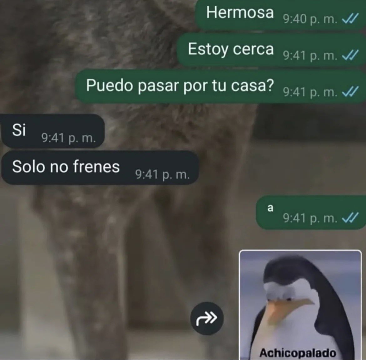 padecirnosotros's tweet photo. https://t.co/iZPFg3Z4v2