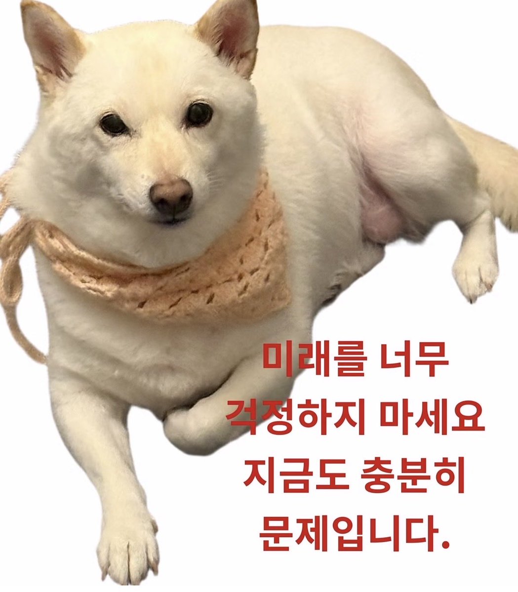 9960002's tweet photo. 오늘의 명언이다! https://t.co/2m5gWEyy0c