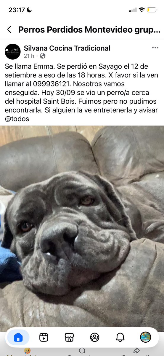 Adriana43587622's tweet photo. 🙏🏻🙏🏻🙏🏻🙏🏻🙏🏻retener. Y avisar al celu 🙏🏻🙏🏻🙏🏻🙏🏻🙏🏻🙏🏻🚨🚨🚨🚨 https://t.co/8vCQcSSDI9
