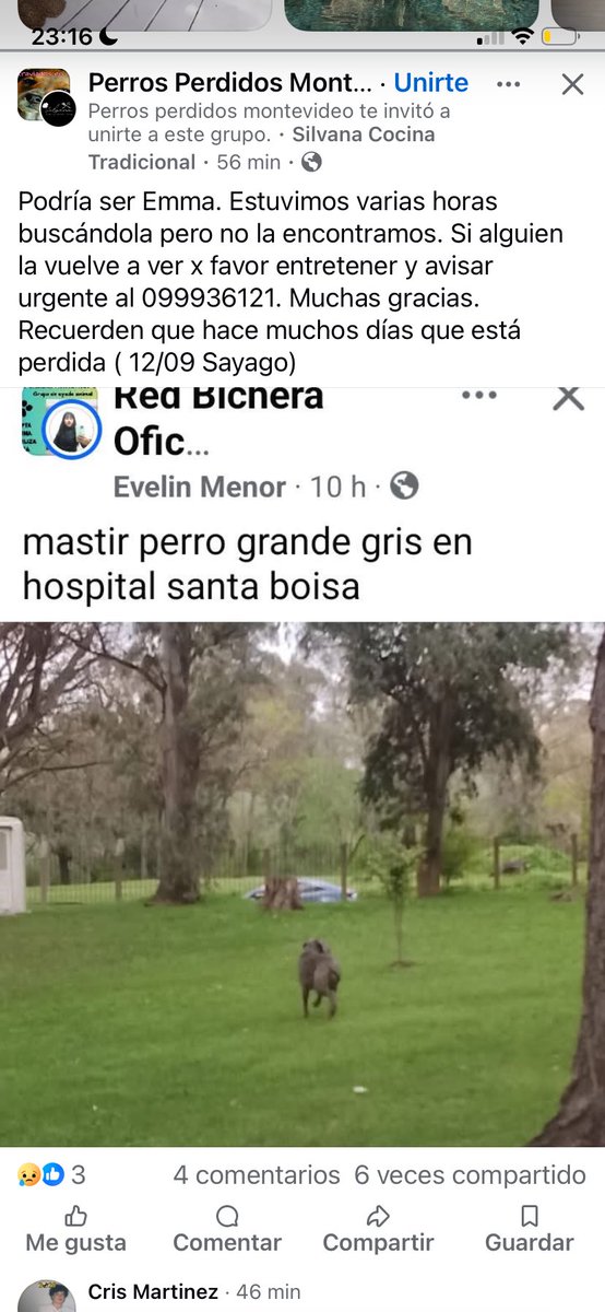 Adriana43587622's tweet photo. 🙏🏻🙏🏻🙏🏻🙏🏻🙏🏻retener. Y avisar al celu 🙏🏻🙏🏻🙏🏻🙏🏻🙏🏻🙏🏻🚨🚨🚨🚨 https://t.co/8vCQcSSDI9