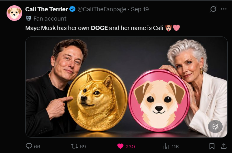 RafelineK's tweet photo. @blknoiz06 Ansem do you realize a coin bigger than WIF is larping at $3M market cap.

solana:8k4sBtEeK4pf26noKqApv8NBTnuSJcbdwpKYknk5PbAA literally followed by Maye Musk @CaliTheFanpage 

Winner of this cycle, bookmark it. https://t.co/EVAqxaxMLL