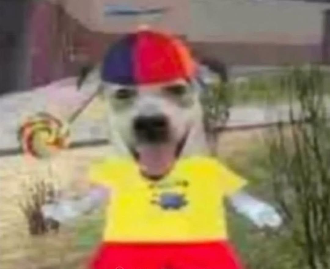 cruel_timing's tweet photo. &amp;&amp;. how i feel ignoring studying for a test i have tomorrow so i can roleplay on twitter dot com https://t.co/kzT9P0ql1e