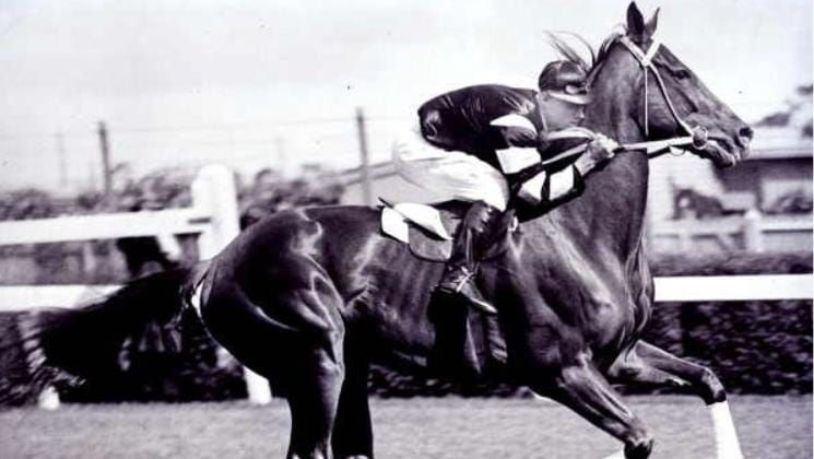nzracingnews's tweet photo. NEWS: Phar Lap Raceway Celebrates 100 Years of Phar Lap.
https://t.co/dzijtQ88cQ https://t.co/MBAvdqNbL1