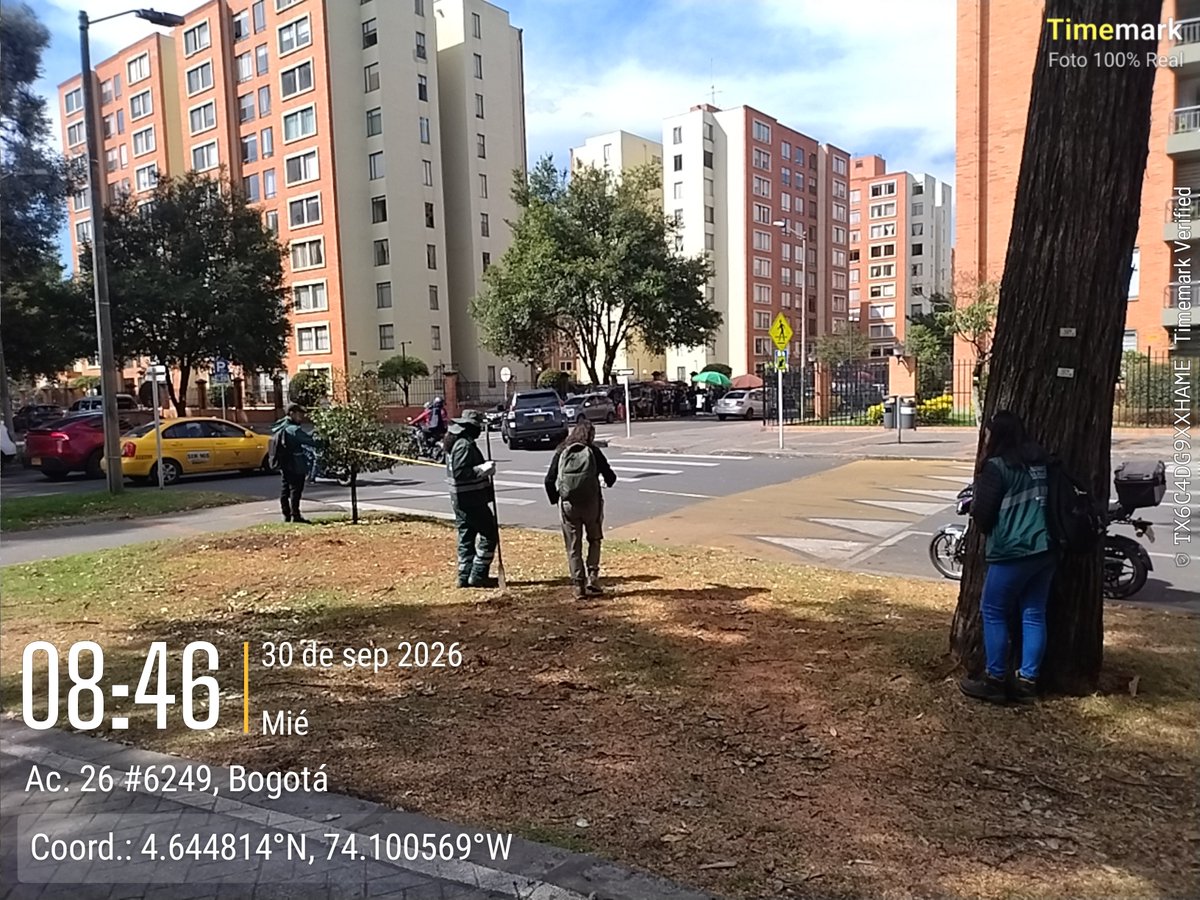 SalitreOriental's tweet photo. Gracias al @JBotanicoBogota por sus esfuerzos en la reforestación de #CiudadSalitreOriental. Hoy profesionales estuvieron tomando medidas para la siembra de los nuevos árboles de alto porte que promoverán habitat para aves migratorias y nativas #VACSE https://t.co/hzb7pzTEEs