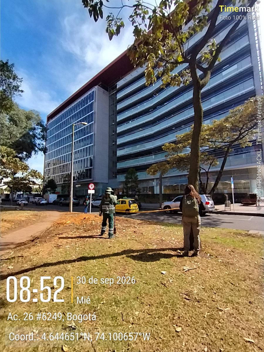 SalitreOriental's tweet photo. Gracias al @JBotanicoBogota por sus esfuerzos en la reforestación de #CiudadSalitreOriental. Hoy profesionales estuvieron tomando medidas para la siembra de los nuevos árboles de alto porte que promoverán habitat para aves migratorias y nativas #VACSE https://t.co/hzb7pzTEEs