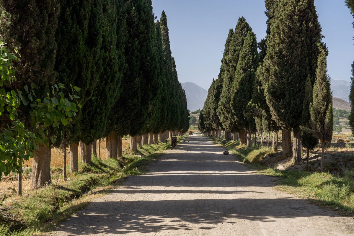 Bagh_eBabur's tweet photo. A 16th century garden built by the Turkic Emperor Babur in eastern Afghanistan. https://t.co/n8AF5M4jhi