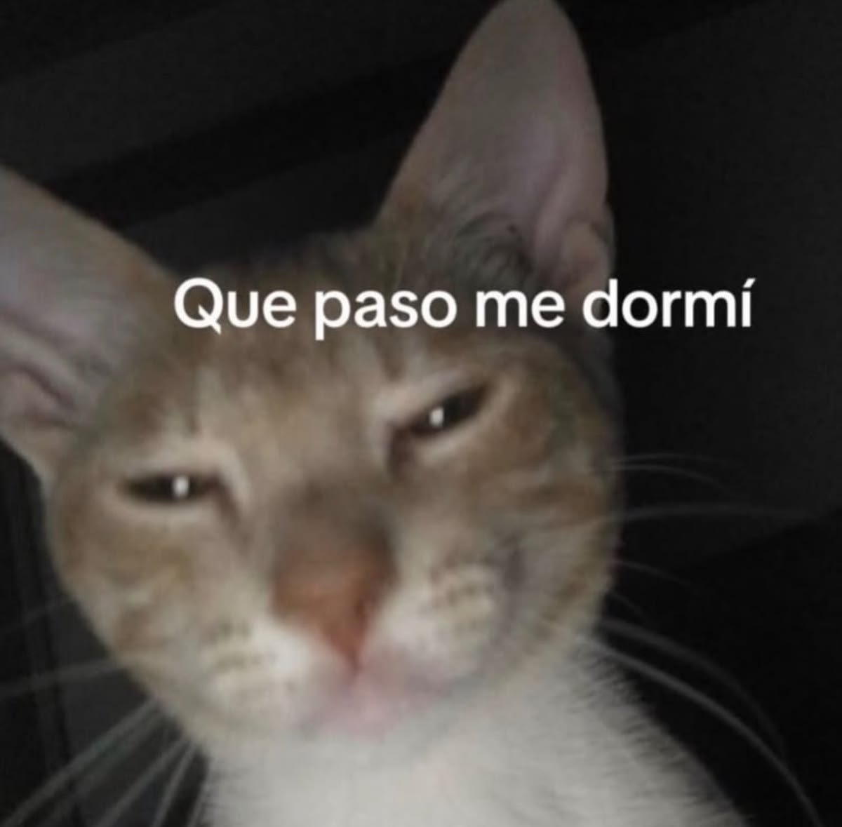 DrAbbuud's tweet photo. ya prenbdi venteee JAHSJHAJA https://t.co/9PmRWWKinT