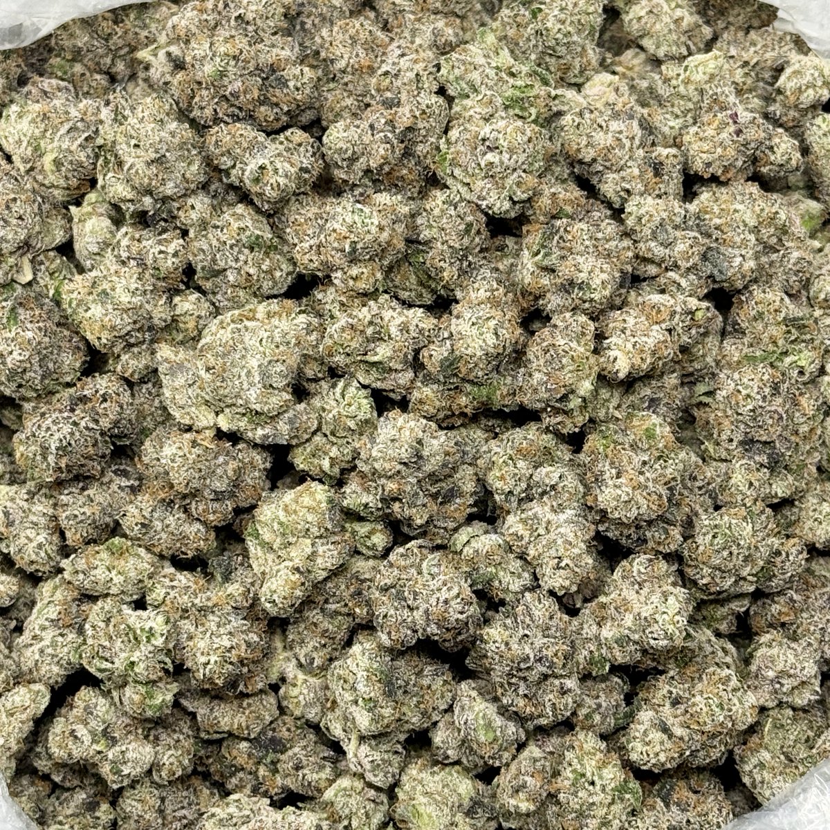 caliplug_distro's tweet photo. STRAIN: HOFFA 🌿
TYPE: BIGZ 📦
PRICE: $1050💰

👀 Bag Appeal: 8/10
📏 Nug Size: 8/10
🧱Structure: 7/10
👃Nose: 7/10
💧Freshness: 10/10
✂️Trim/Cleanliness: 9/10
🌀Breakdown: 7/10
👅 Taste/Smoothness: 8/10
🔥Burn/Ash: 9/10

TOTAL: 80/100 🏆

AVAILABLE
@Caliplug_distro📍 https://t.co/EtecOmW72f