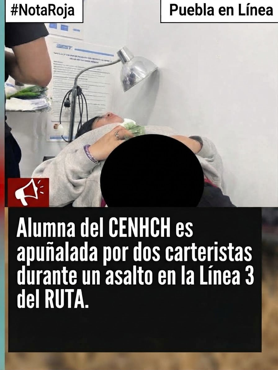 PueblaenLinea tweet picture
