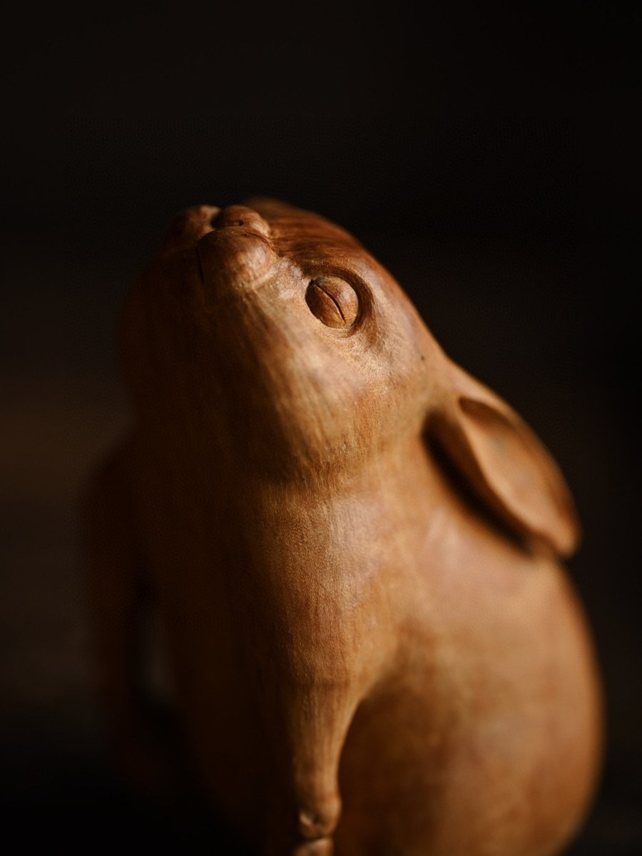 spin_josep__977's tweet photo. [Fun little rabbit nuzzles solid sandalwood pieces by the sunlit window! ]， https://t.co/DifTO4Mn0O