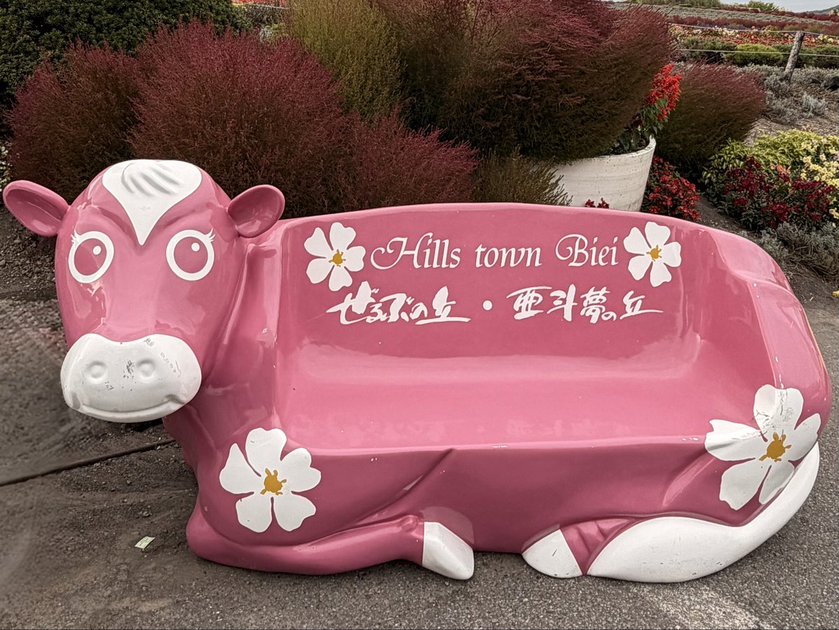 slowliving8888's tweet photo. 先日の美瑛ドライブで見つけた
ぜるぶの丘の『モーモーベンチ🐮』

お花柄のピンク🩷
王道の白黒🤍🖤
優しい茶色🤎

お花畑にちょこんと佇む牛さんたちが、なんとも愛らしかったですよ♡

10月もよろしくお願いいたします
(⑅•͈ᴗ•͈).:*｡.:*ฺ✤ฺ☘️ https://t.co/BJldX6zGcF