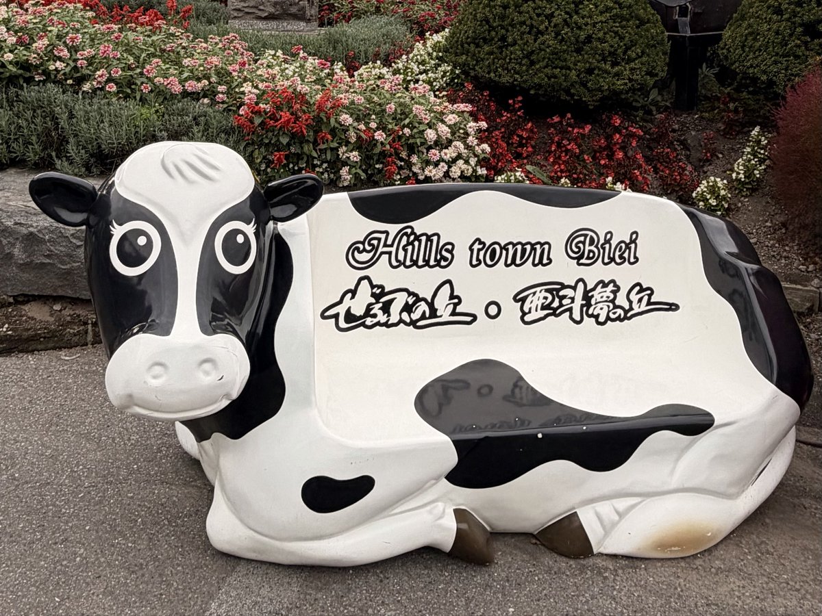 slowliving8888's tweet photo. 先日の美瑛ドライブで見つけた
ぜるぶの丘の『モーモーベンチ🐮』

お花柄のピンク🩷
王道の白黒🤍🖤
優しい茶色🤎

お花畑にちょこんと佇む牛さんたちが、なんとも愛らしかったですよ♡

10月もよろしくお願いいたします
(⑅•͈ᴗ•͈).:*｡.:*ฺ✤ฺ☘️ https://t.co/BJldX6zGcF