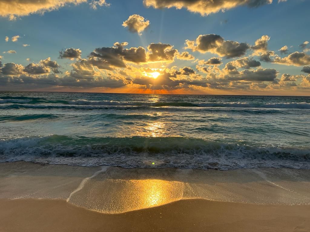 bluedreamvibes's tweet photo. https://t.co/RZC8mJkFR0